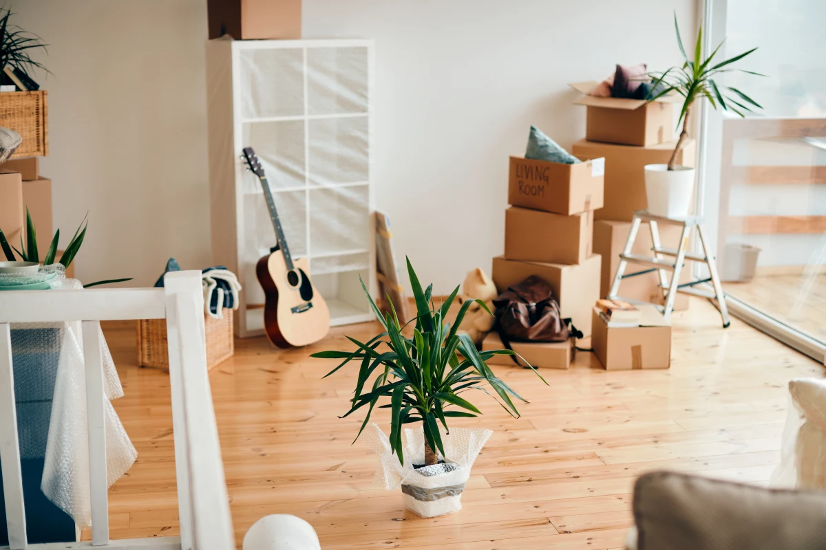 Conciergerie Airbnb vs gestion locative classique : quelles différences pour les propriétaires ?